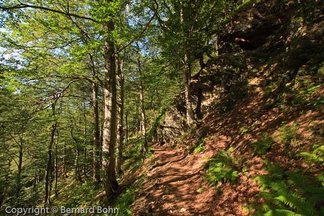 Chemin de l'impÃ©ratrice vers le cirque de la glÃ©re
Chemin de l'impÃ©ratrice menant au cirque de la glÃ©re
Mots-clés: PyrÃ©nÃ©es,Chemin de limpÃ©ratrice