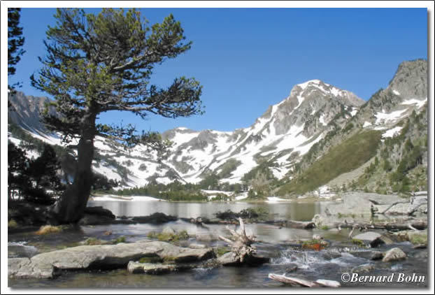 lac du Laurenti
lac du Laurenti,arige
Mots-clés: lac du Laurenti,arige