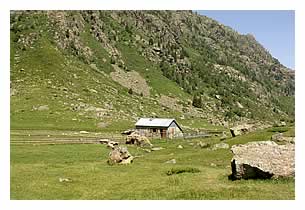 cabane de berger plat des peyres