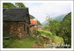 granges sur le chemin de l'étang d'arraing