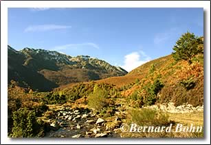 sentier ruisseau étang d'arbu Ariège