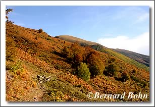 sentier au départ vers l'étang d'arbu