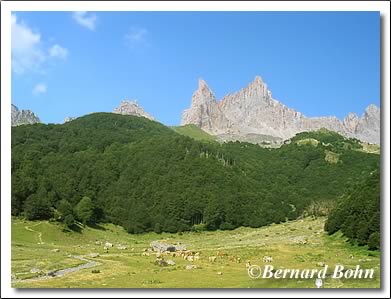 vue sur aiguilles d'ansabére