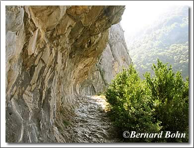 chemin de la mâture