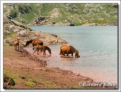 lac d'estaens