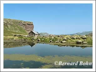 cabane de gourgue sec