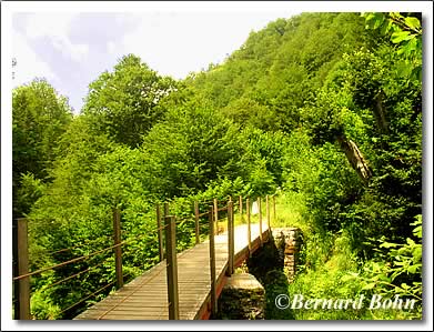 pont des trungas