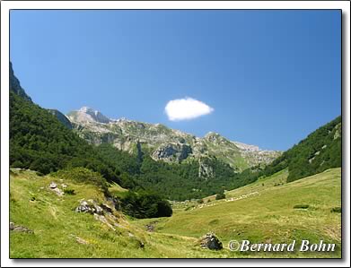 vallon d'espélunguère Béarn