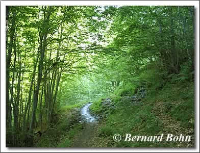 sentier des granges de campbielh