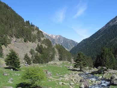 vue au départ de l'artigusse Néouvielle pyréneés