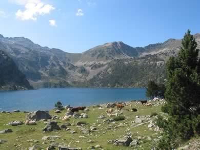 Lac d'aubert réserve du Néouvielle Pyrénées