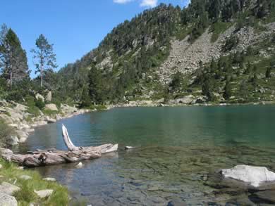 laquettes réserve du Néouvielle Pyrénées