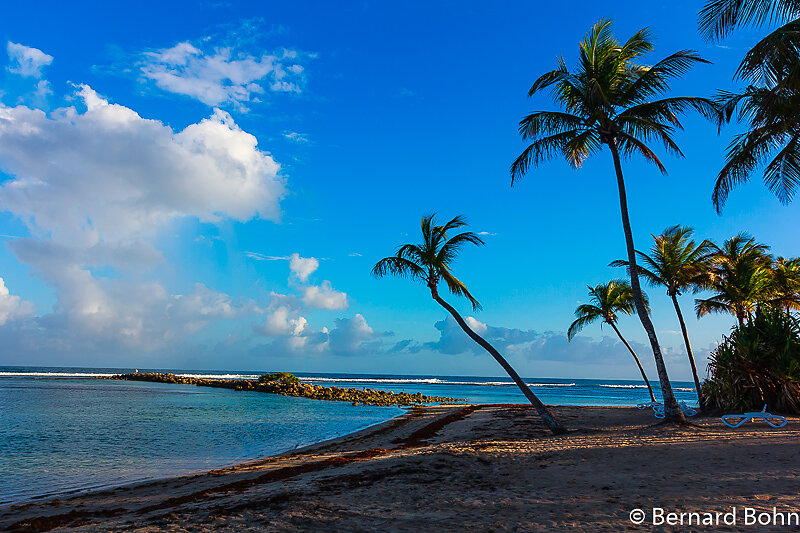 Guadeloupe