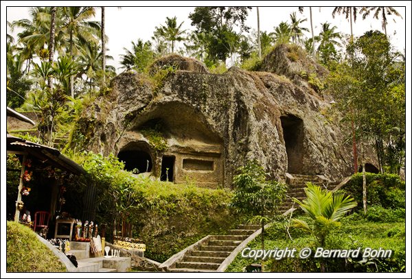 Bali en IndonÃ©sie
RiziÃ¨re Ã®le de Bali
Mots-clés: riziÃ¨re,Ã®le de Bali