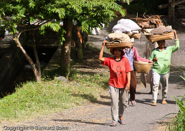 Bali en Indonésie
Bali Indonésie
Mots-clés: travail rizières Bali