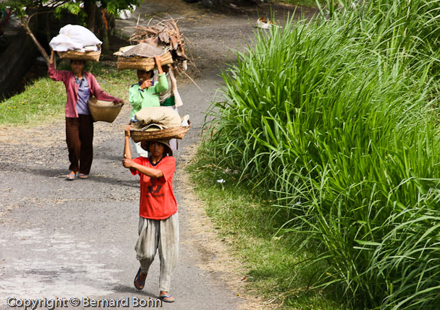 Bali en Indonésie
Bali Indonésie
Mots-clés: travail rizière Bali