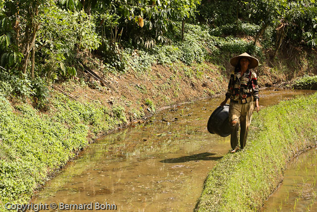 Bali en Indonsie
Bali Indonsie
Mots-clés: travail rizire Bali