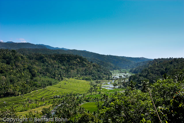 Bali en Indonésie
Rizière île de Bali
Mots-clés: rizière,île de Bali