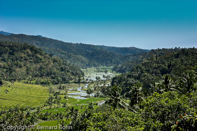 Bali en IndonÃ©sie
RiziÃ¨re Ã®le de Bali
Mots-clés: riziÃ¨re,Ã®le de Bali