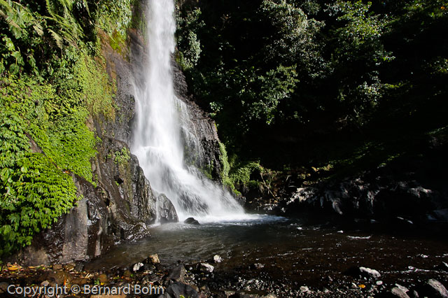 cascade de Gitgit Bali en IndonÃ©sie
RiziÃ¨re Ã®le de Bali
Mots-clés: cascade,cascade de Gitgit,Bali