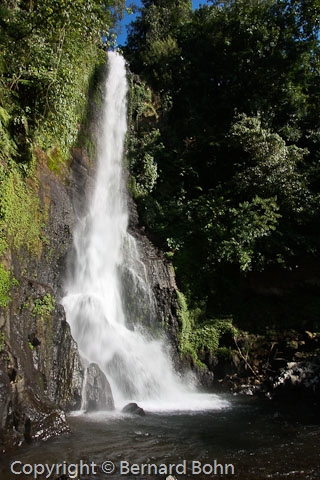 cascade de Gitgit Bali en IndonÃ©sie
RiziÃ¨re Ã®le de Bali
Mots-clés: cascade,cascade de Gitgit,bali