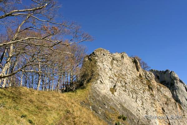 Mots-clés: falaise pic du gard