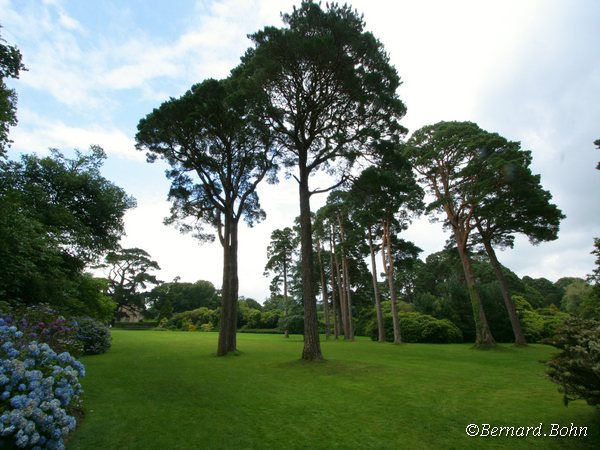 Paysage parc en Irlande
Mots-clés: Paysage Irlande,connemara