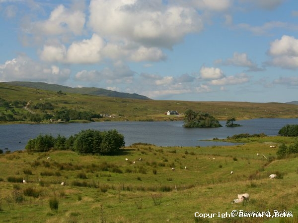 Paysage Irlandais connemara
Mots-clés: mouton Paysage Irlande,connemara