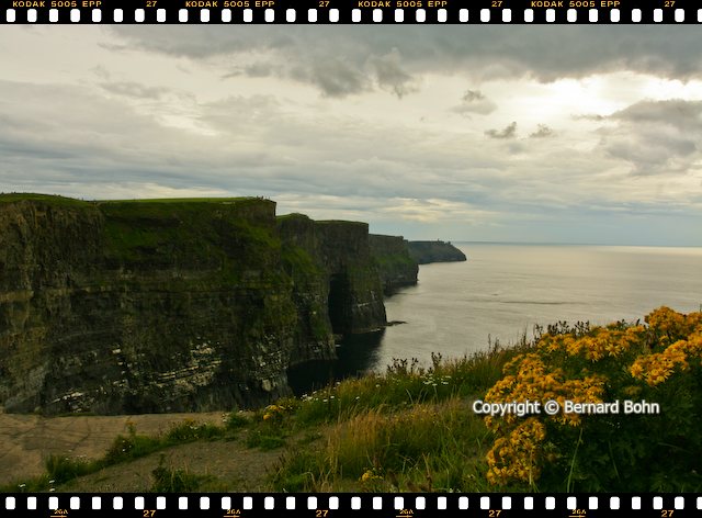 Cliffs of Moher
falaise de Moher Irlande
Mots-clés: Cliffs of Moher,Irlande