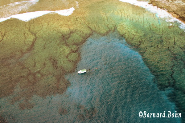 Mots-clés: littoral,Île de la Réunion