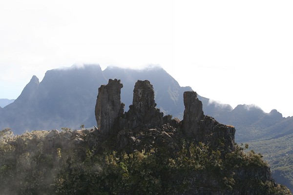 3 salazes
Mots-clés: 3 salazes,Île de la Réunion