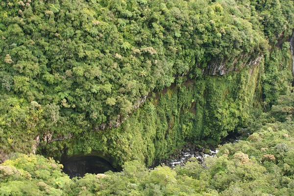 Mots-clés: Île de la Réunion