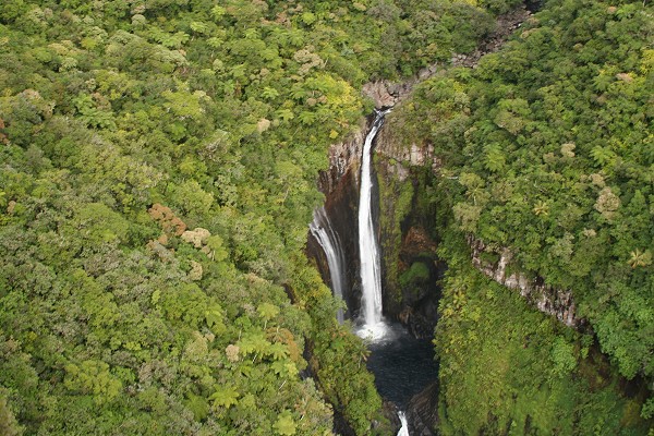 Mots-clés: Île de la Réunion