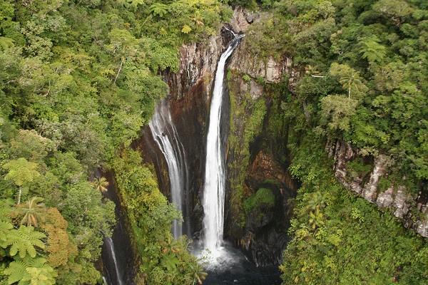 Mots-clés: Île de la Réunion