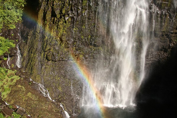 Mots-clés: cascade,Île de la Réunion