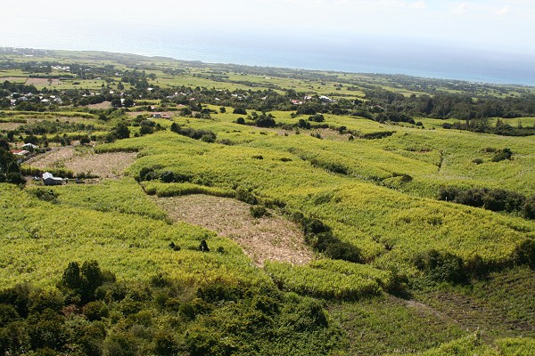 Mots-clés: Île de la Réunion