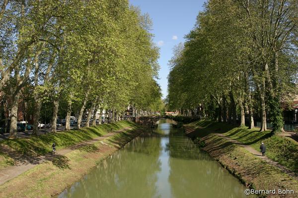 Toulouse canal du midi
Mots-clés: Toulouse canal du midi