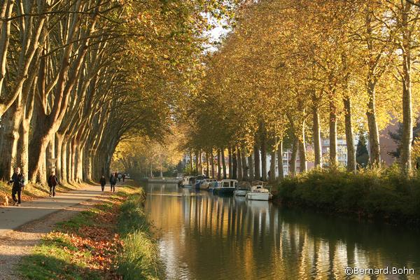 Toulouse canal du midi
Mots-clés: Toulouse canal du midi