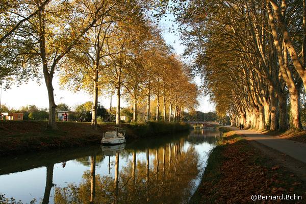 Toulouse canal du midi
Mots-clés: Toulouse canal du midi