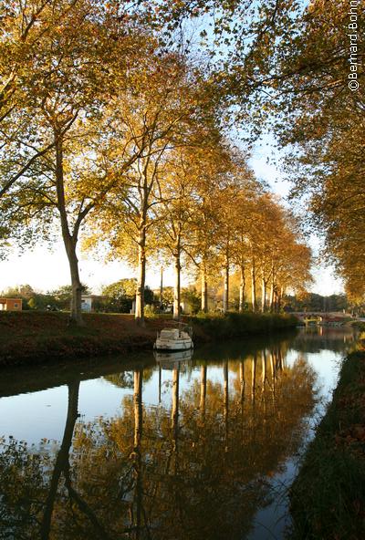 Toulouse canal du midi
Mots-clés: Toulouse canal du midi