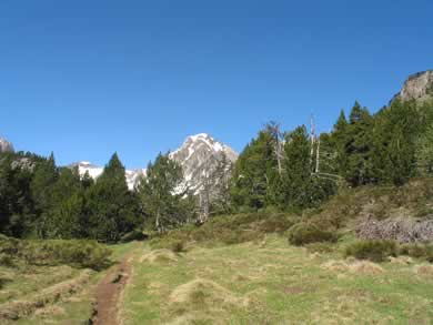 clairière cabane de Counc sur le chemin du Laurenti Ariège