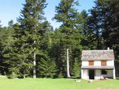 Refuge du Laurenti Ariège forêt d'Ares