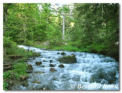 torrent la Bruyante Ariège sentier des étangs de rabassoles Ariège pyréneés