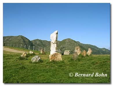 menhir et cromlech au port de Pierrefite