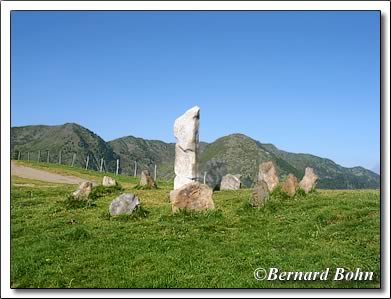 menhir et cromlech au port de Pierrefite